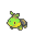 turt